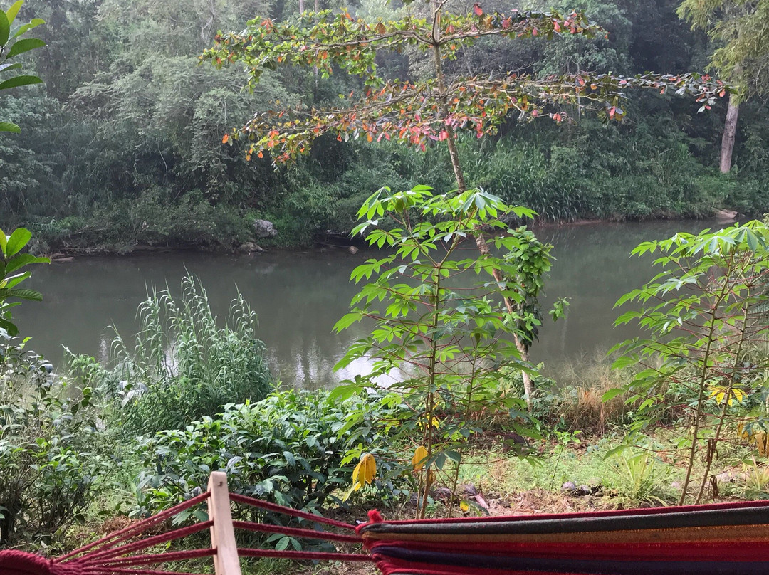 Sinharaja Vini Villa主图