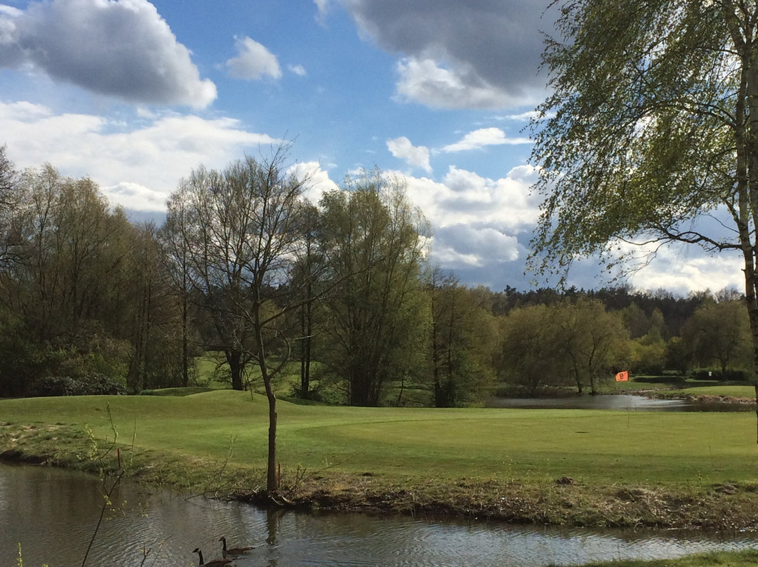 Golfanlage Bad Bevensen景点图片