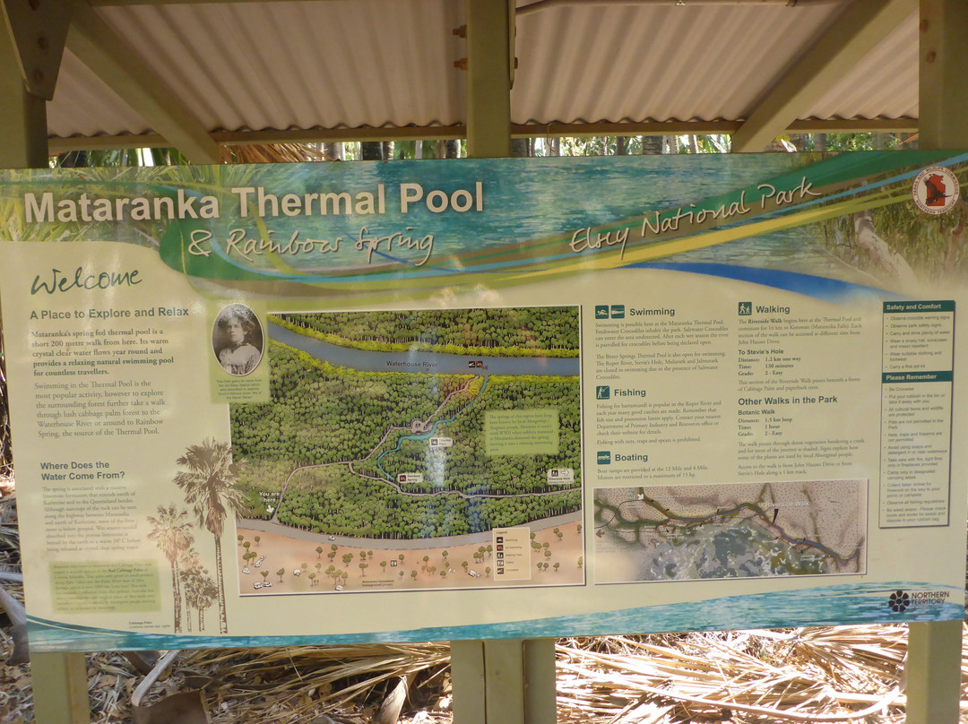 Mataranka Thermal Pool景点图片