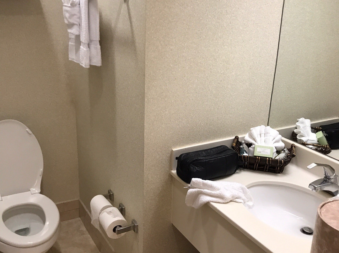 威廉博尔格中心酒店主图