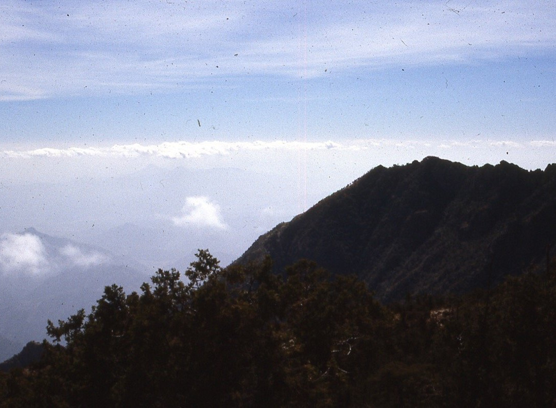 Raghadan Forest Park景点图片