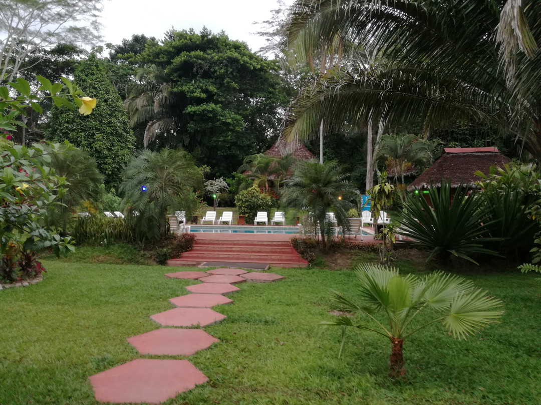 Corto Maltes Amazonia主图