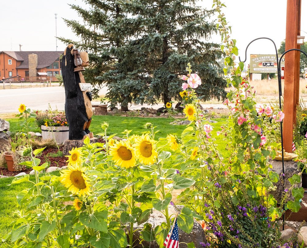 The Lodge Motel主图