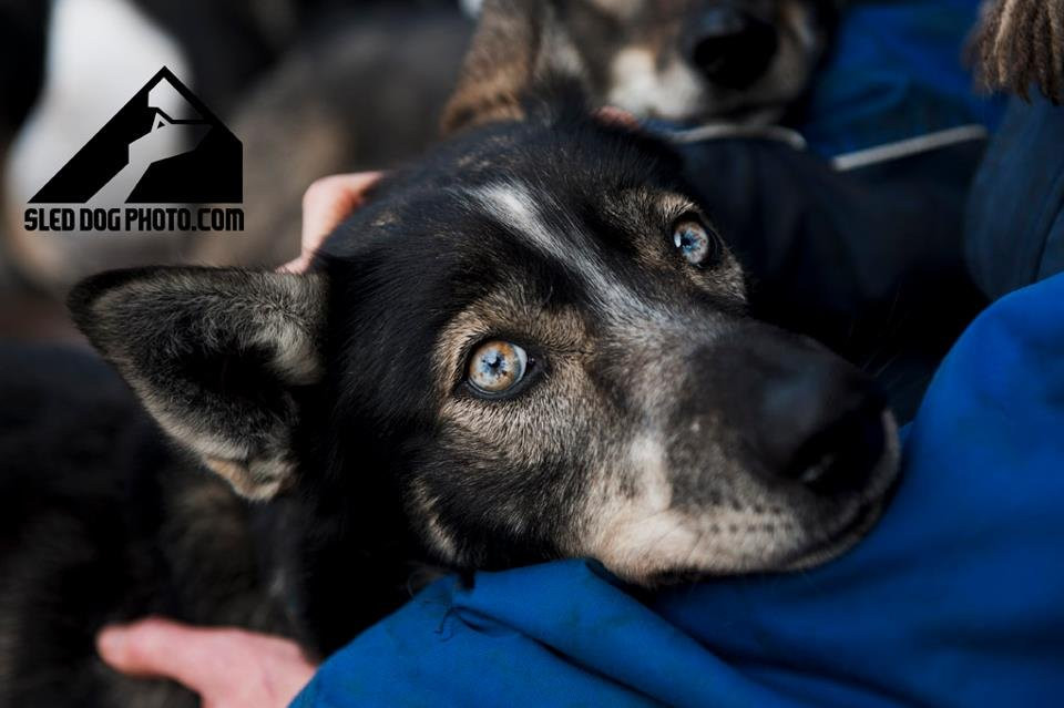 HuskyTours.CZ-Janov nad Nisou必去景点