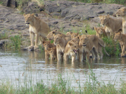 Moving On African Grounds-雾观必去景点