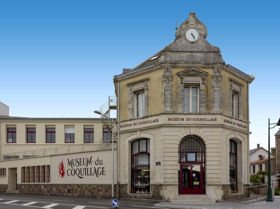 Museum du Coquillage景点图片
