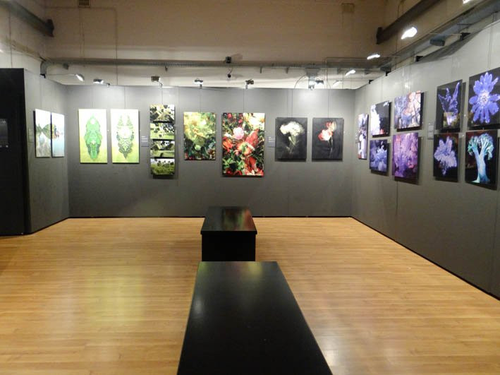 Flower Art Museum景点图片