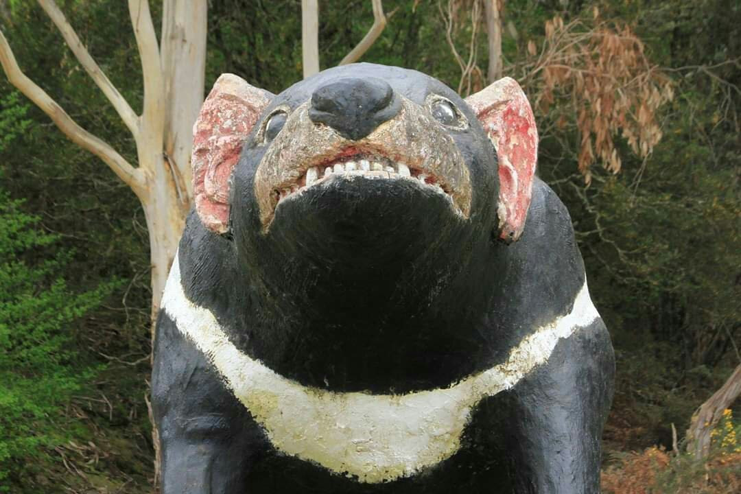 The Big Tasmanian Devil-茉莉溪必去景点