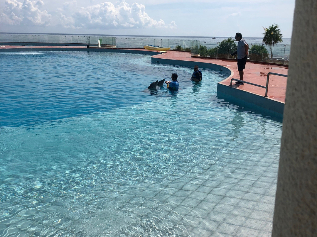 Grand Sirenis Riviera Maya Resort主图