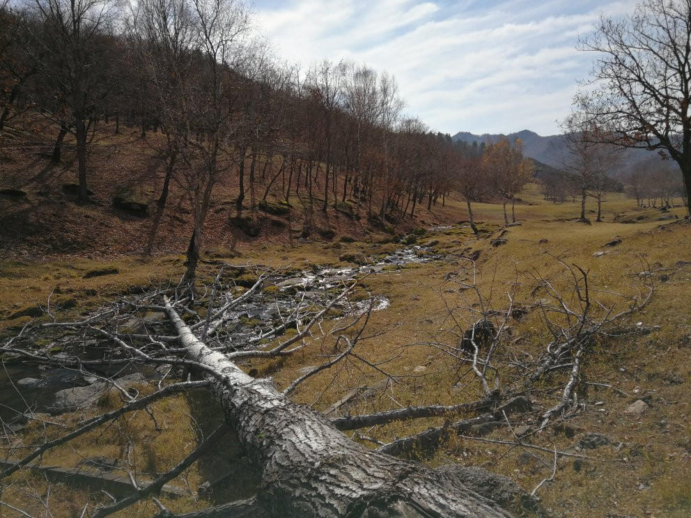 金山鹿苑-伊春市必去景点