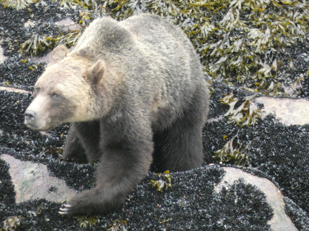 The Artists Point Bed, Breakfast and Phototours主图