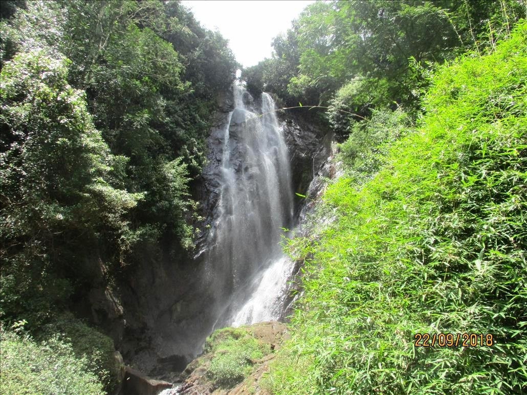 Mohini falls-奴娃拉伊利雅必去景点