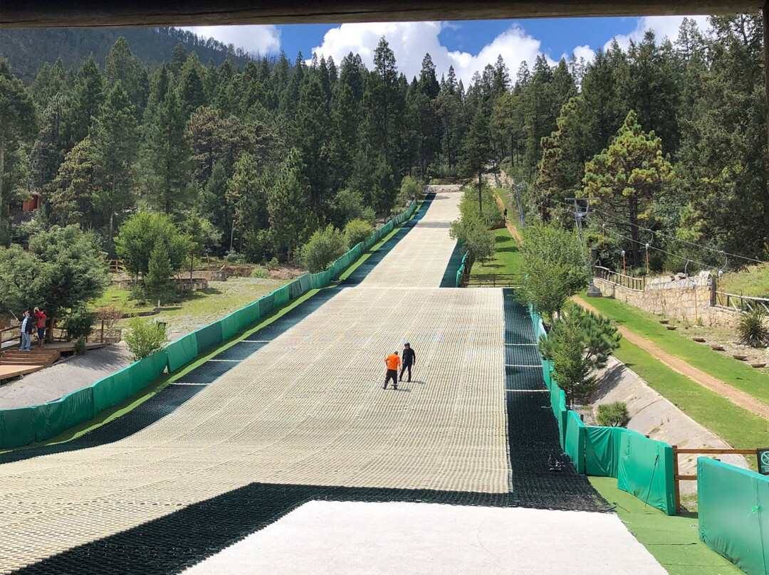 Bosques de Monterreal主图