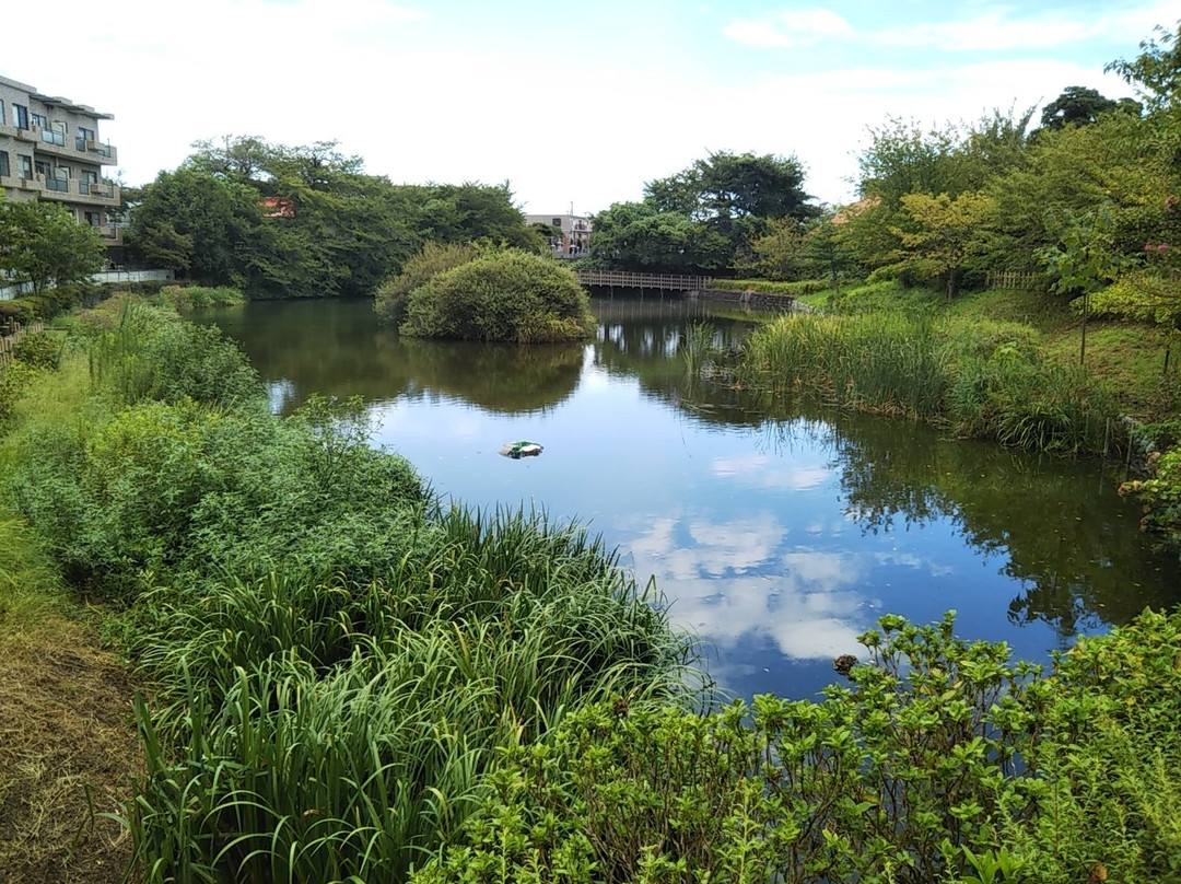 Imaizumi Meisui Sakura Park景点图片