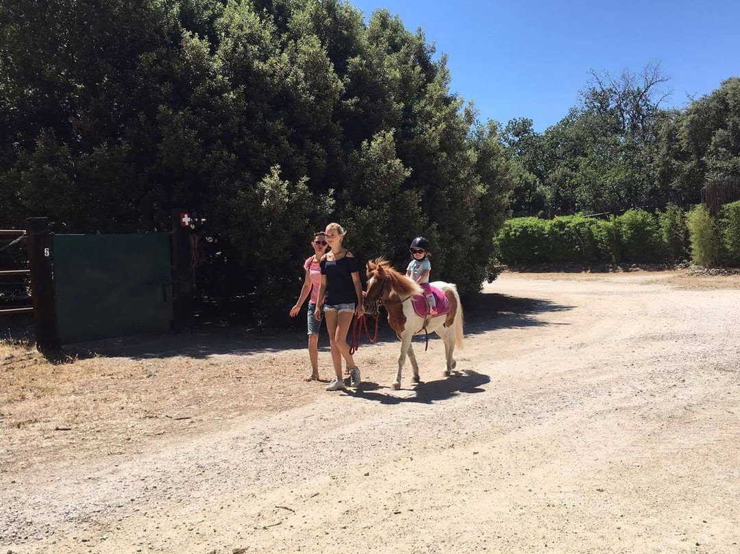 Centre Equestre du Frigouye景点图片