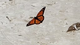 Southwick Beach State Park-Henderson必去景点