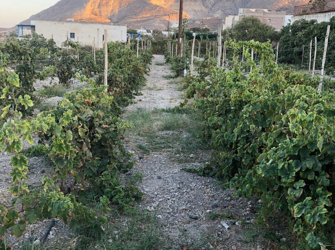 Exo Gonia旅游攻略图片