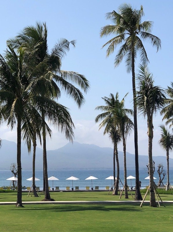 Dialoog Banyuwangi主图