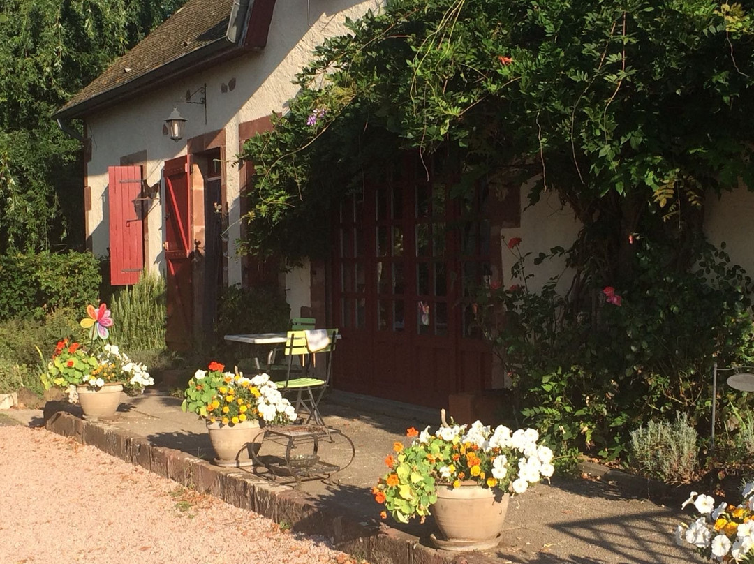 Saligny-sur-Roudon旅游攻略图片