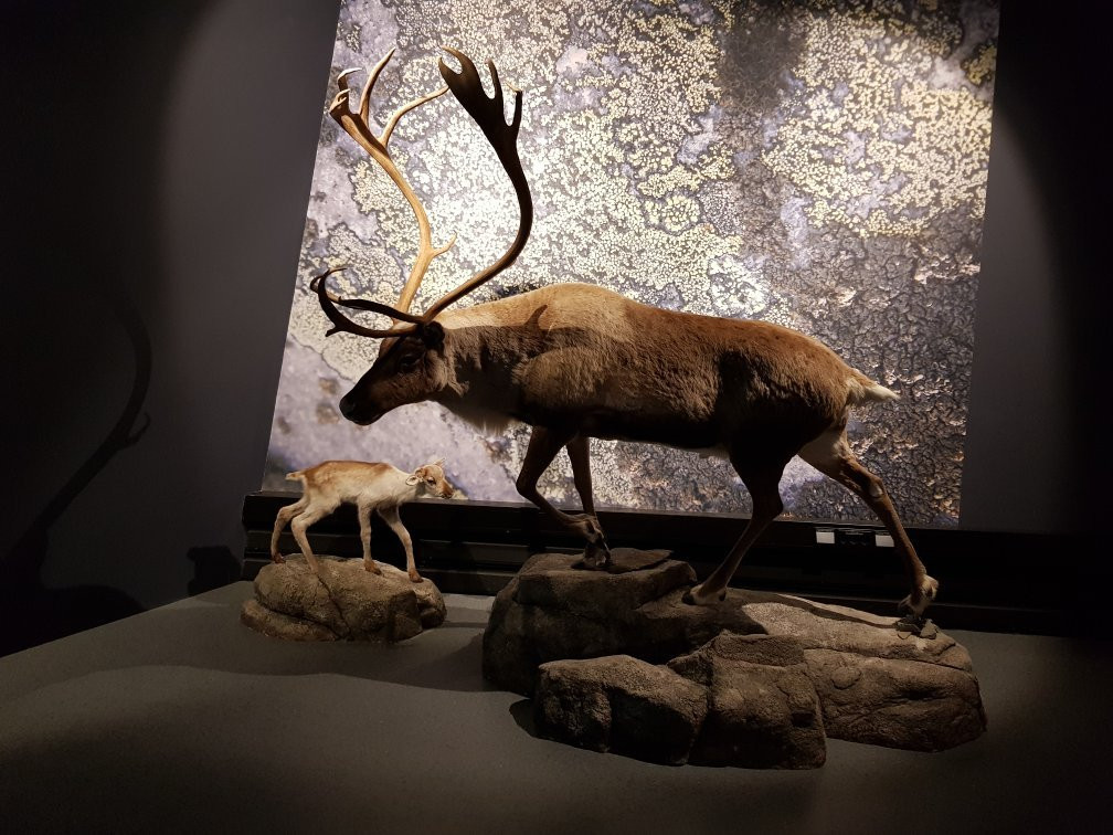 Visitor Centre Hardangervidda National Park景点图片