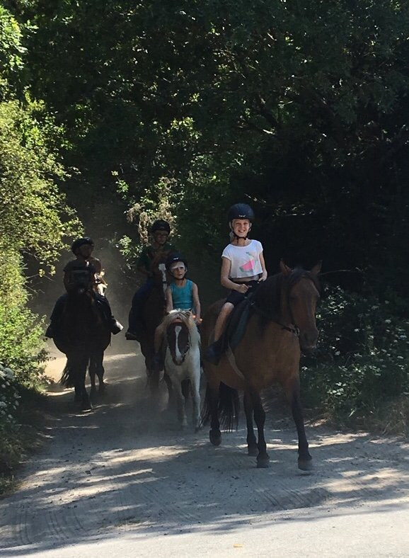 Centre Equestre La Champagne景点图片