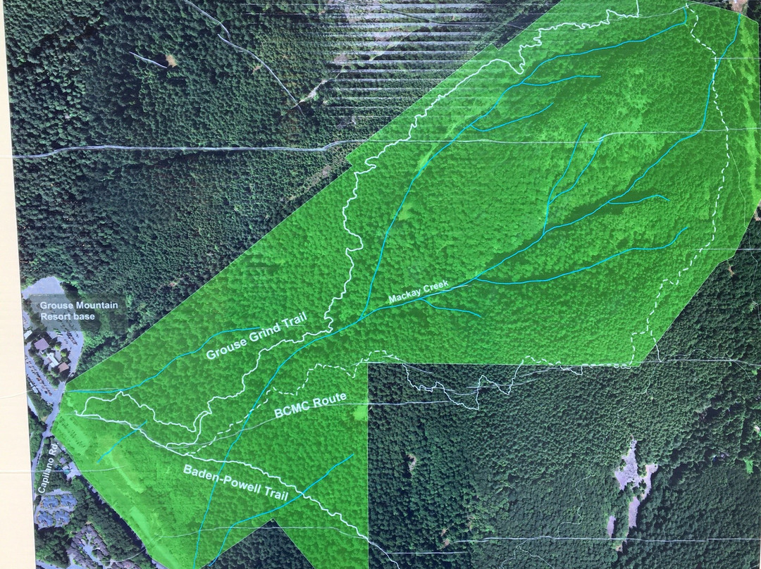 BCMC Trail-北温哥华必去景点