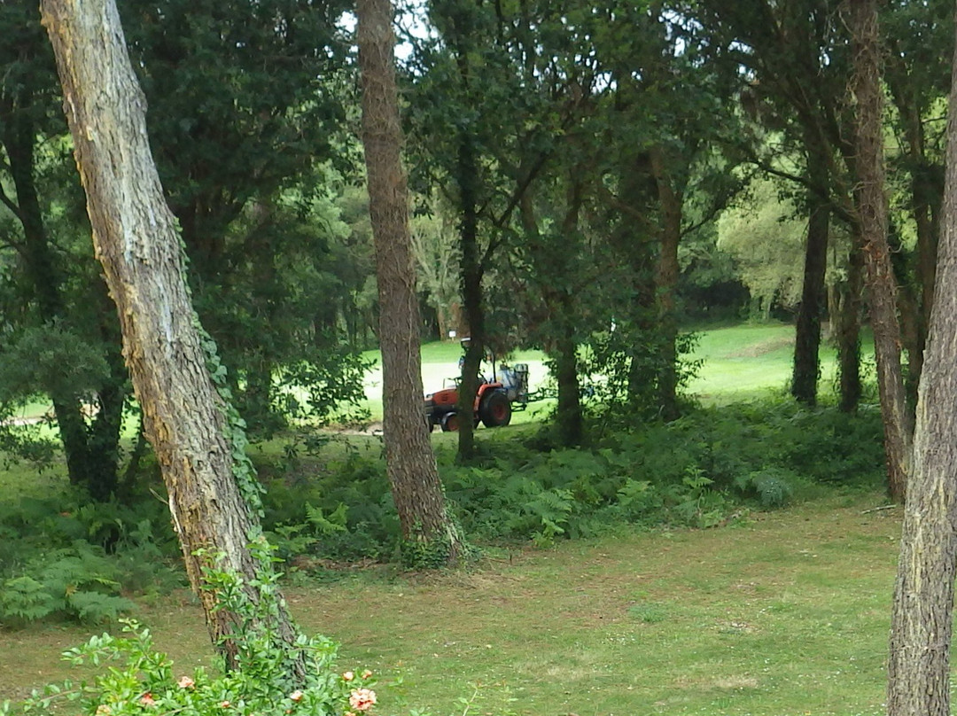 Golf de Pinsolle-Soustons必去景点