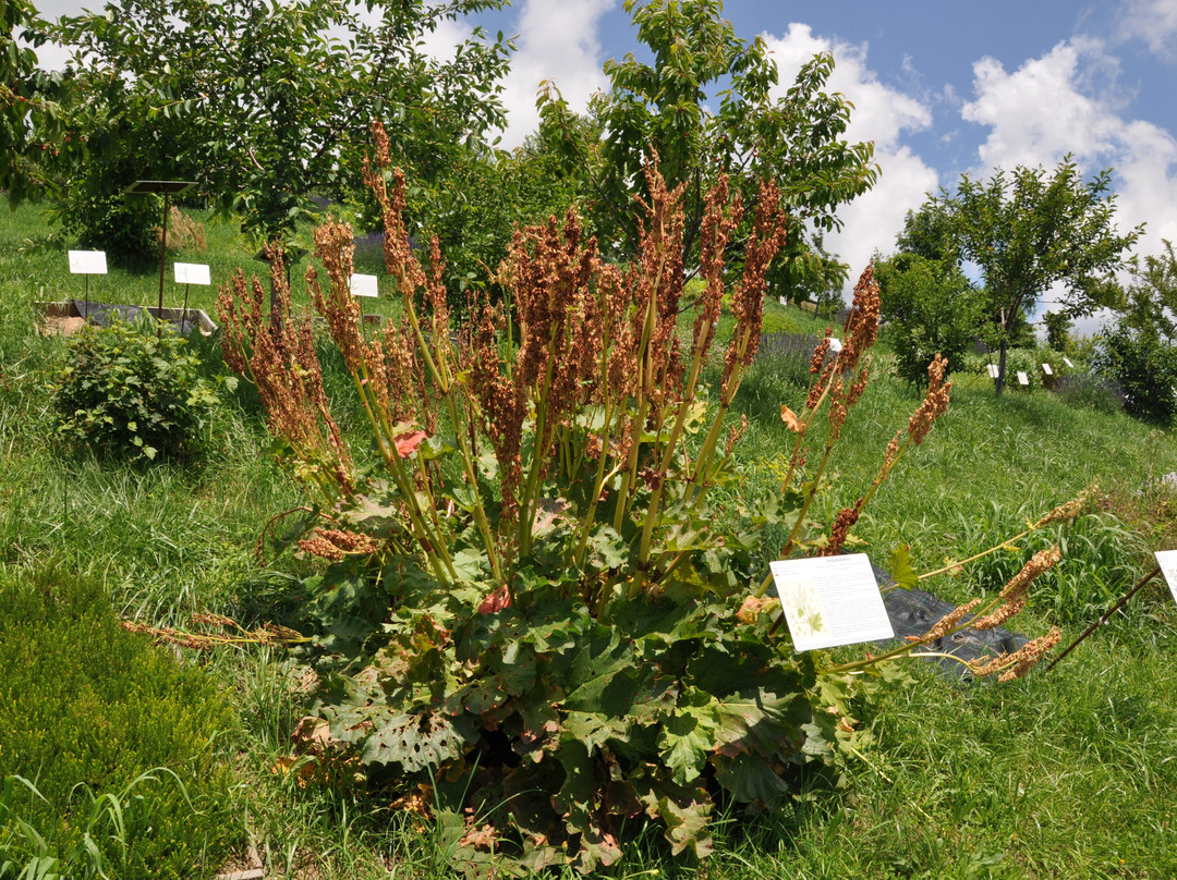 Giardino di Don Zocca-Badia Calavena必去景点