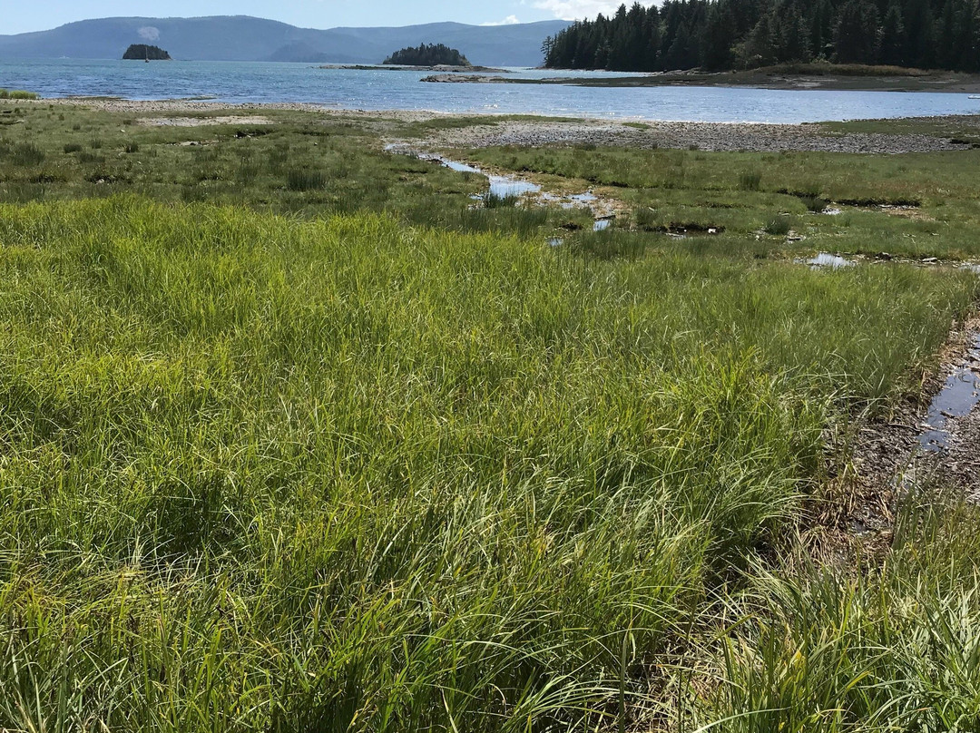 The Queen Charlotte Seawalk-Daajing Giids必去景点