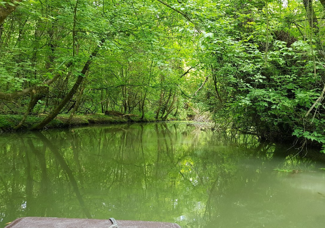 Szabics port and Szabadidőpart-Tiszafured必去景点