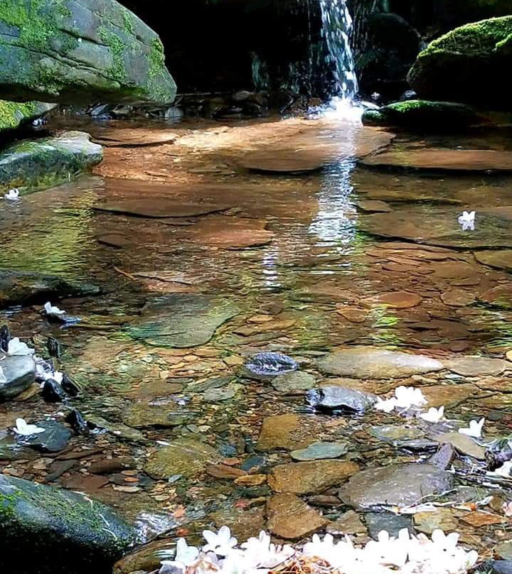 Rich Mountain Road-大雾山国家公园必去景点