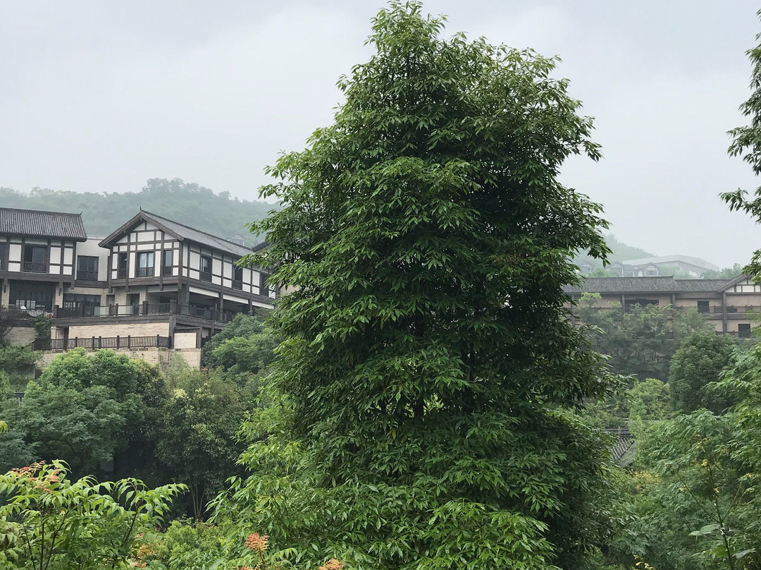 Banyan Tree Spa Chongqing Beibei-重庆市必去景点
