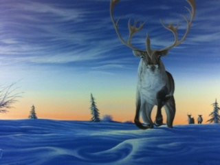 Aurora Emporium Art Gallery-黄刀镇必去景点