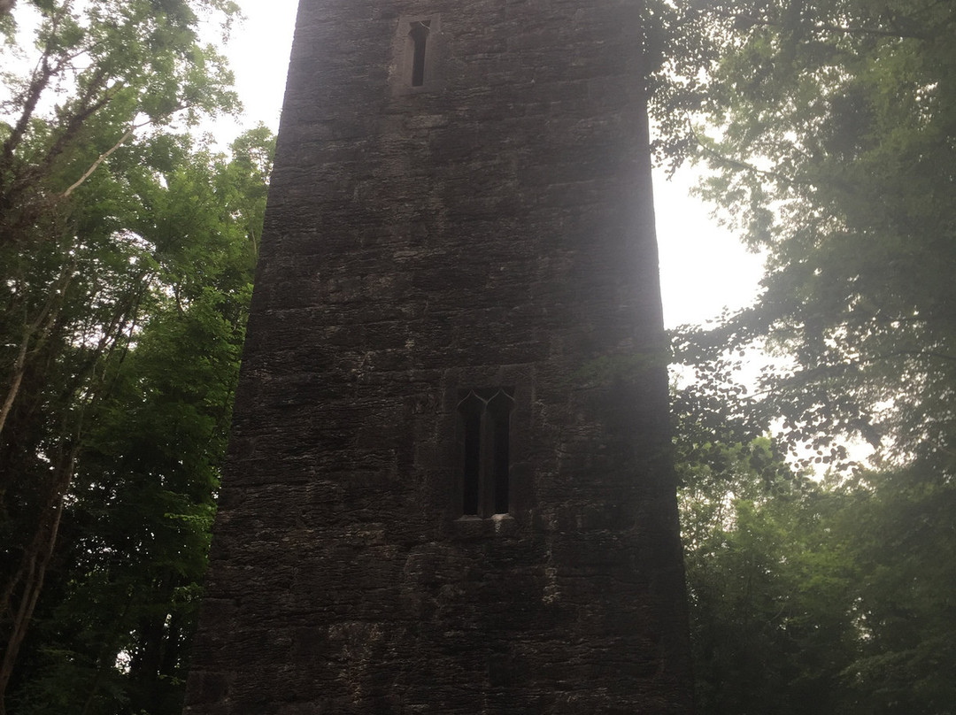 The Guinness Tower/Leonard's Tower景点图片