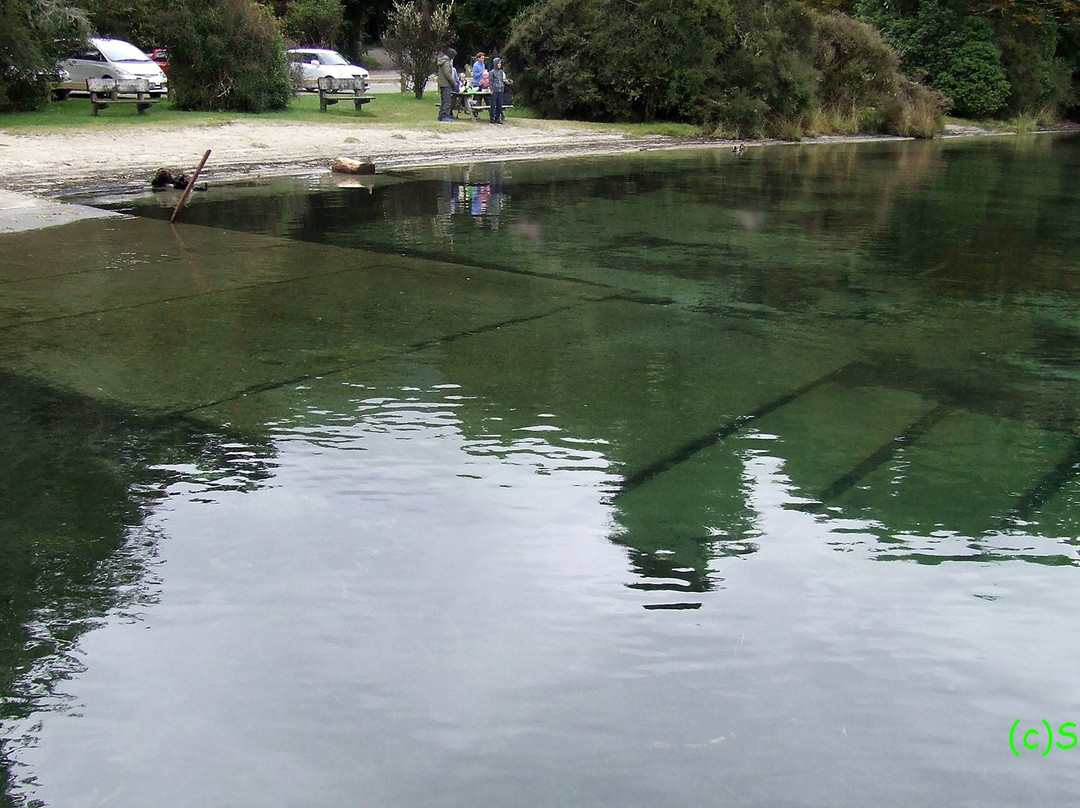 Lake Rotoroa景点图片