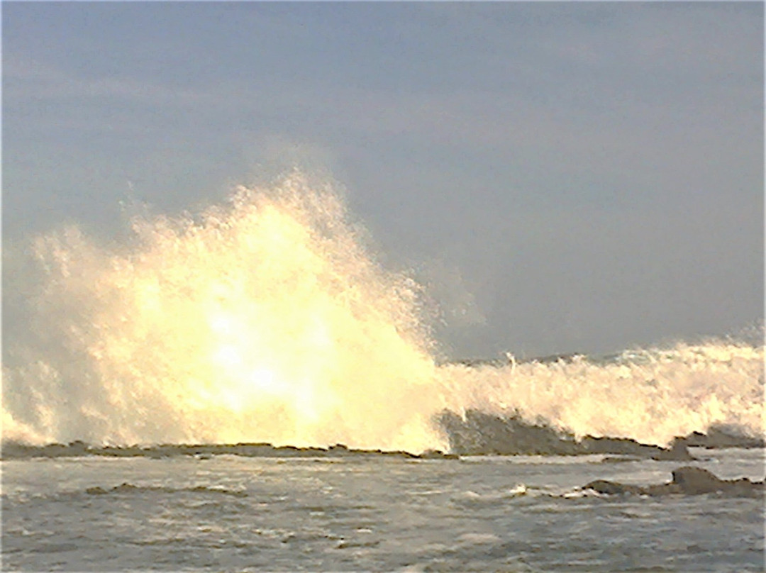 Shelly Beach-洛恩必去景点