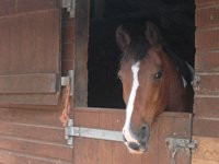 Highfield Farm B & B主图