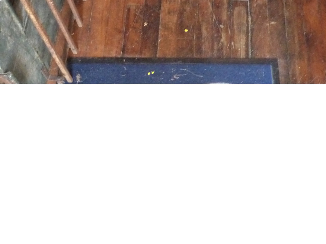 Oxner General Store-Urbana必去景点