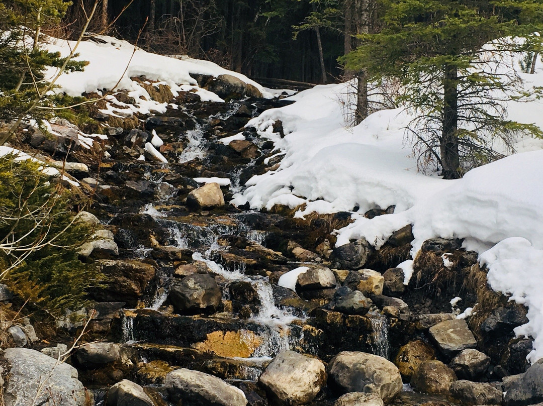 O'shaughnessy Falls-卡那那斯基斯必去景点