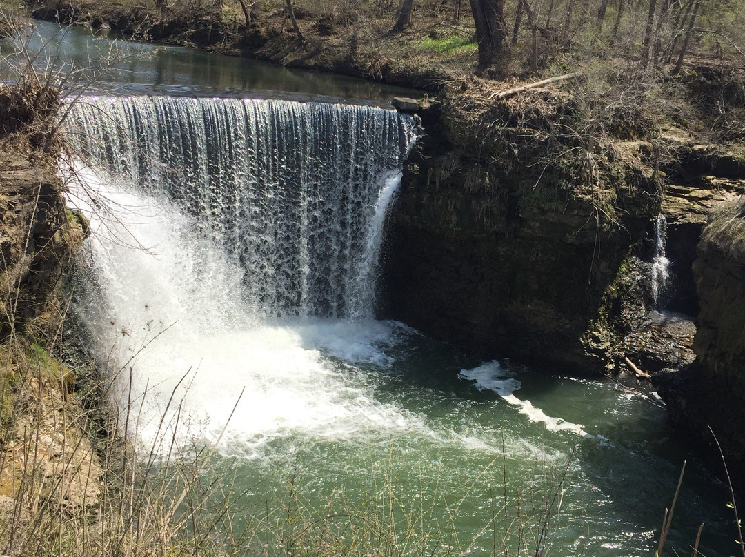 Cedarville旅游攻略图片