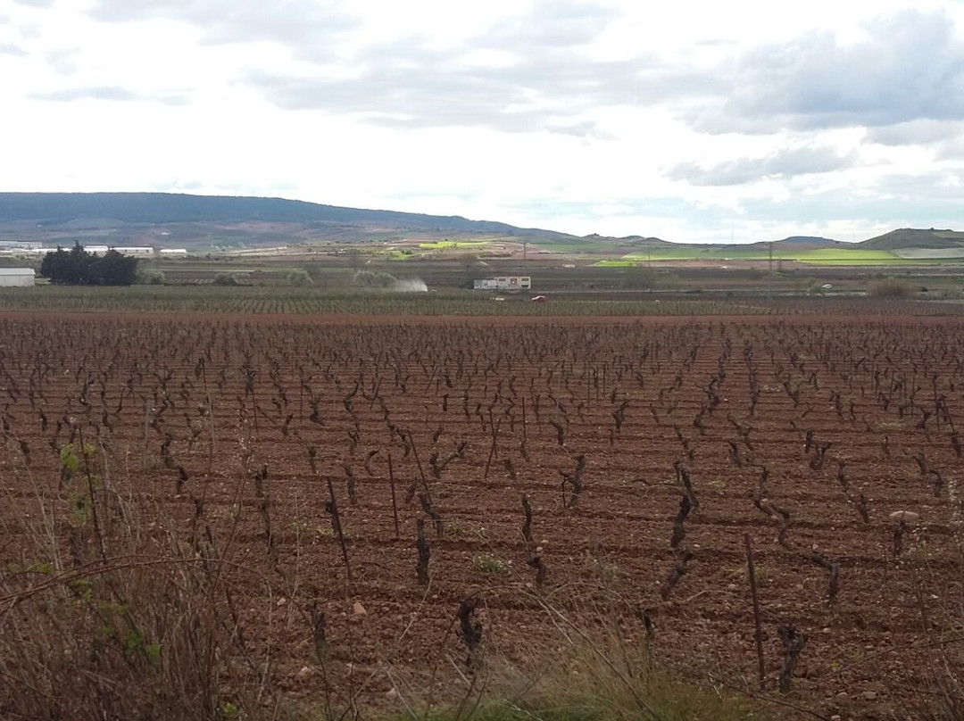 Rioja Rentabike-Fuenmayor必去景点