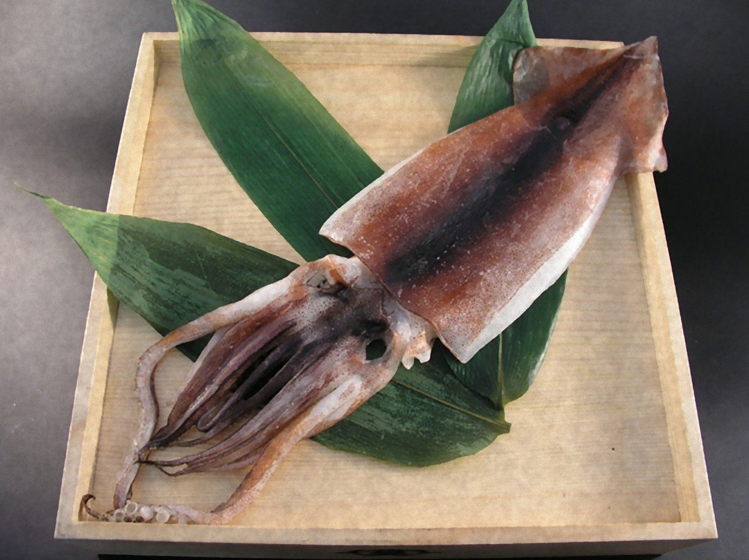 Kamatsuru Himono Shop-热海市必去景点