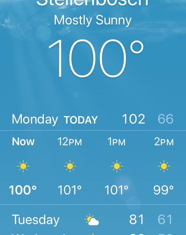 Overgaauw Wine Estate-斯泰伦博斯必去景点