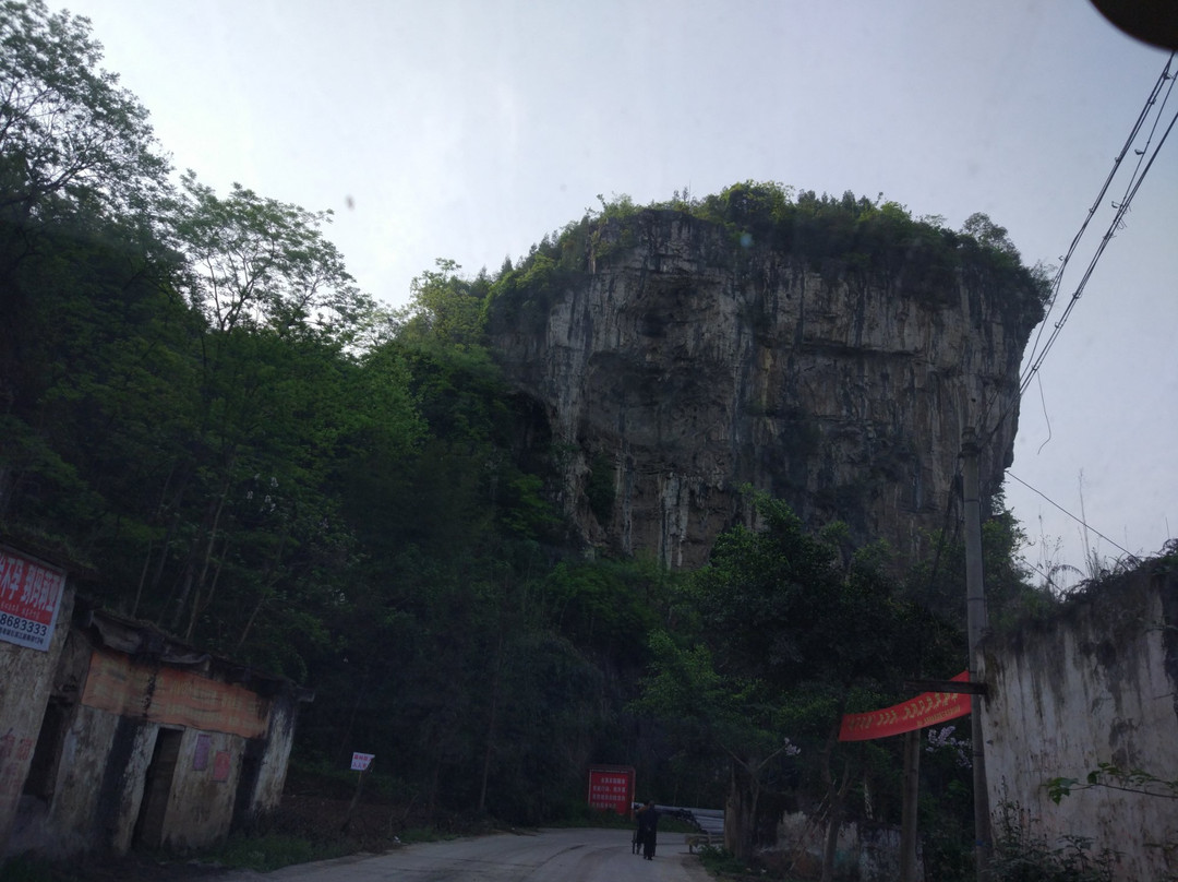 古僰悬棺陈列馆景点图片