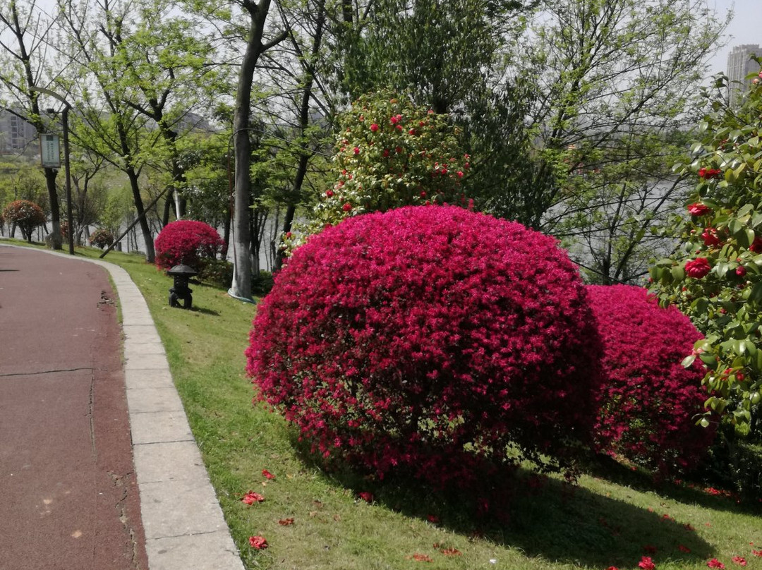 炎帝广场-株洲市必去景点