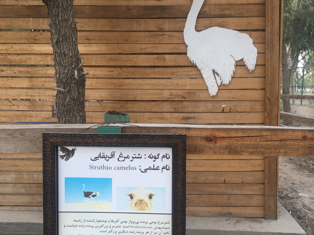 BandarAbbas Bird Garden景点图片
