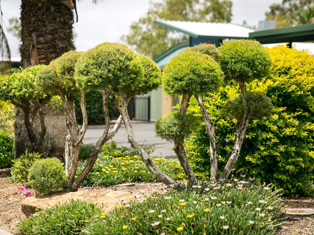 Motel Carnarvon主图