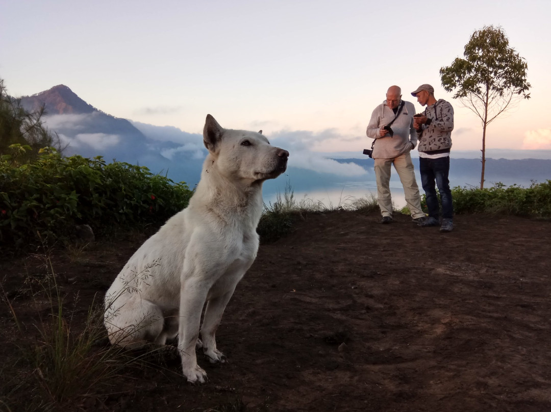 Bali Bushwalking-金塔马尼必去景点