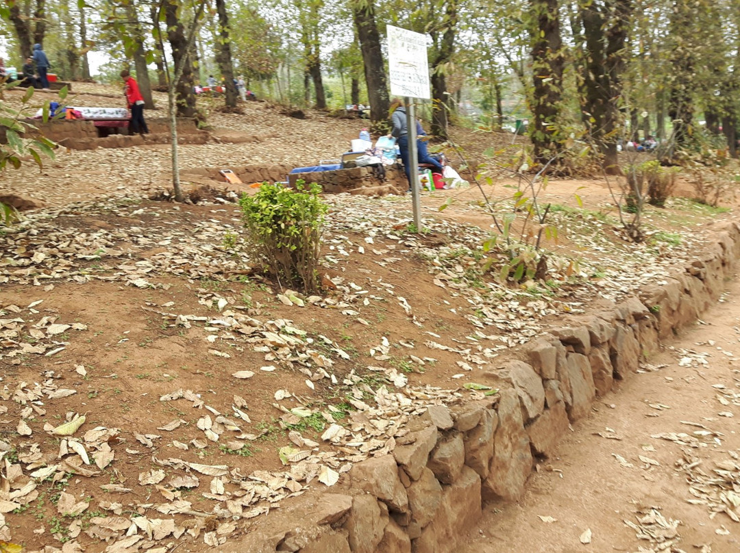 Area Recreativa de La Laguna-Valleseco必去景点