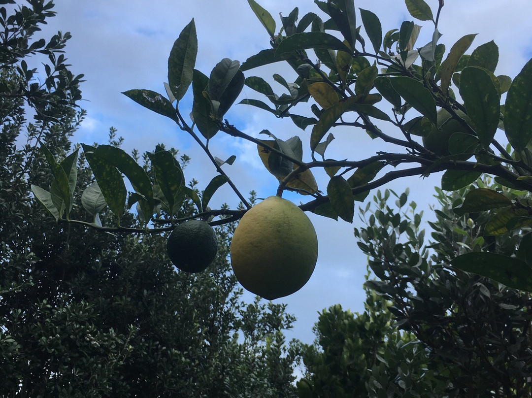 Tohora View Bed & Breakfast主图